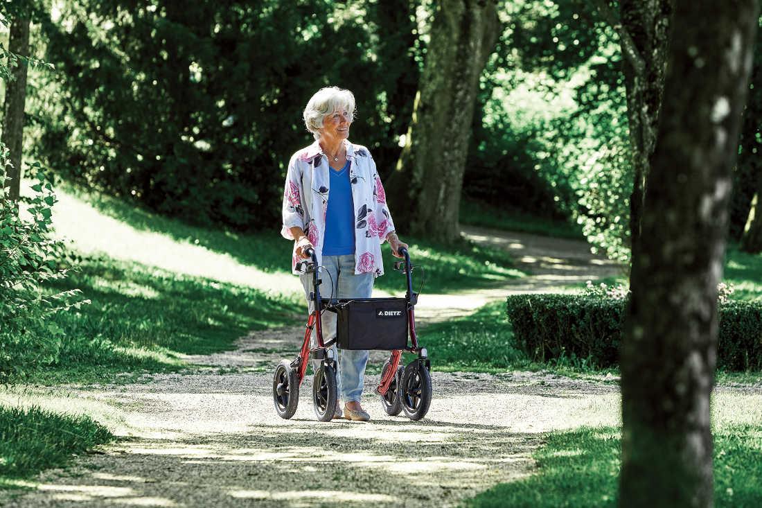 Dietz Leichtgewichtrollator mit Luftbereifung TAiMA XC