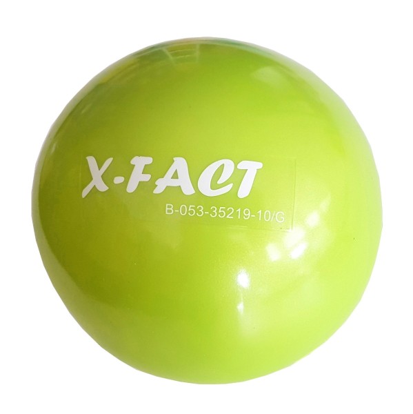 X-Fact Toning Ball 2 kg